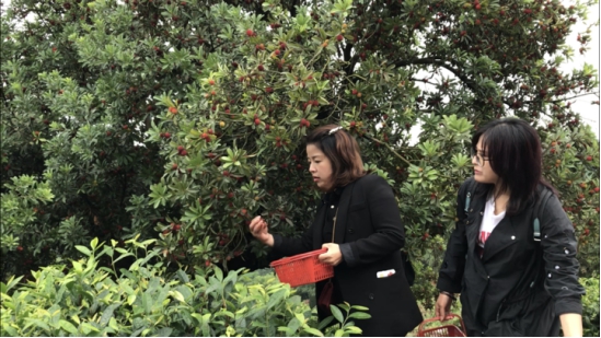 双腿中间被吸到发软的感觉