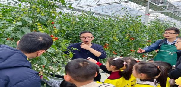 双腿中间被吸到发软的感觉