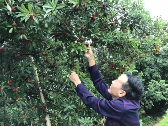 双腿中间被吸到发软的感觉