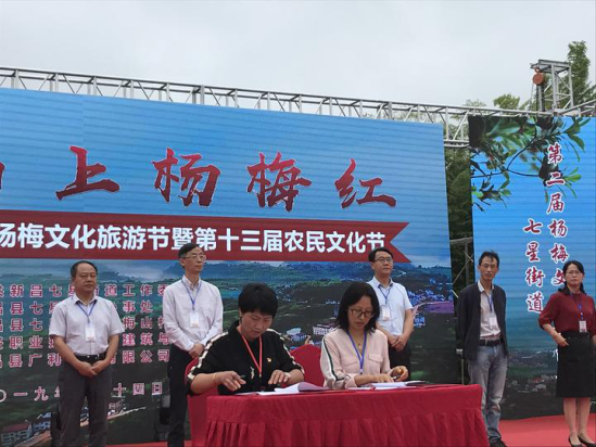 双腿中间被吸到发软的感觉