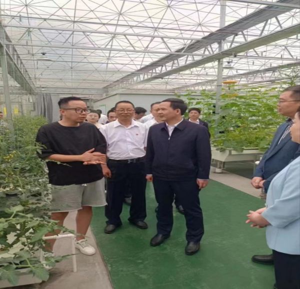 双腿中间被吸到发软的感觉